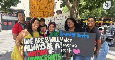 Unions join pro-democracy advocates for No Kings rally